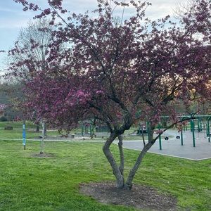 Meet your Posher, Mohamed